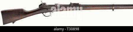 Dienstwaffen, Bayern, Werder Gewehr M 1869, Kaliber 11 mm, Nummer 15207, Additional-Rights - Clearance-Info - Not-Available Stockfoto