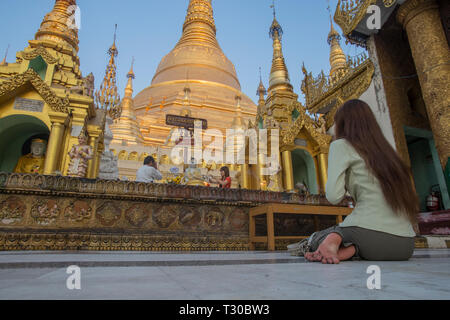 Birmanischen buddhistischen Gläubigen beten an der Shwedagon Pagode, Yangon, Myanmar (Birma). Stockfoto