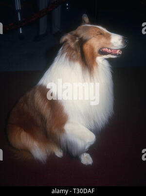 BEL-AIR, CA - 14. März: Lassie besucht Tina Braun Hosts' der New Yorker geht an die Filme" am 14. März 1994 im Hotel Bel-Air in Bel-Air, Kalifornien. Foto von Barry King/Alamy Stock Foto Stockfoto