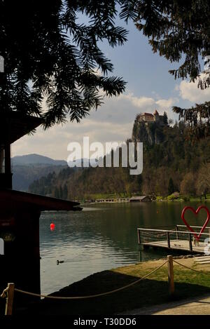 Die Burg von Bled, mit Blick auf den See Bled. Stockfoto