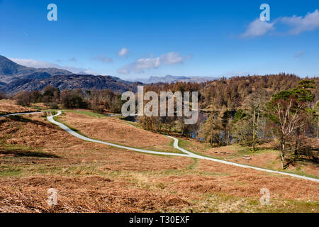 Hecht O'Blisco und die Langdale Pikes als von Tarn Hows, in der Nähe von Ambleside, Lake District, Cumbria Stockfoto