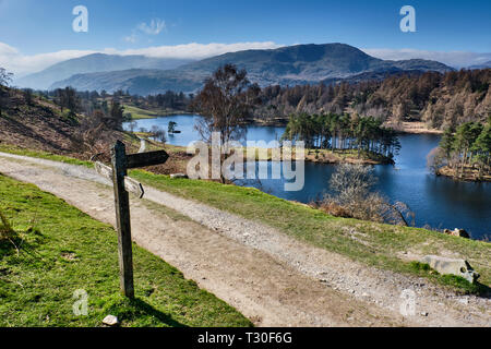 Wetherlam und der alte Mann von Coniston, wie von Tarn Hows, Lake District, Cumbria gesehen Stockfoto