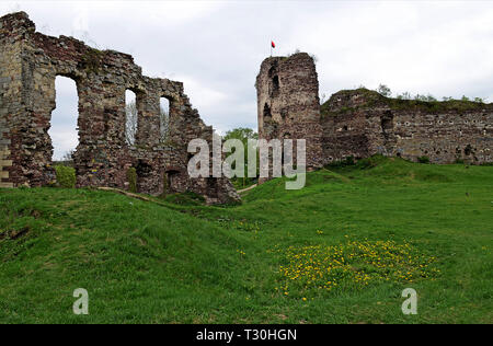 Die Ruinen einer alten Burg stand in einem Feld, auf denen wächst Frühling Gras und Blumen vor blauem Himmel Stockfoto