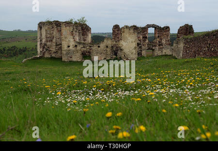 Die Ruinen einer alten Burg stand in einem Feld, auf denen wächst Frühling Gras und Blumen vor blauem Himmel Stockfoto