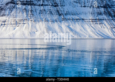 Berge im Winter aus einer der kleineren Fjorde Einspeisung in Ísafjarðardjúp Fjord in der Nähe von Ísafjörður in den Westfjorden Region widerspiegelt, Island Stockfoto