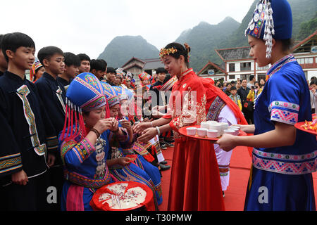 Du'an, China Guangxi Zhuang autonomen Region. 4 Apr, 2019. Ein 'paar' behandeln Sie latives' mit Tee während einer Performance von Hochzeit brauch der Zhuang ethnische Gruppe in Du' ein Yao autonomen County, South China Guangxi Zhuang autonomen Region, 4. April 2019. Credit: Lu Boan/Xinhua/Alamy leben Nachrichten Stockfoto