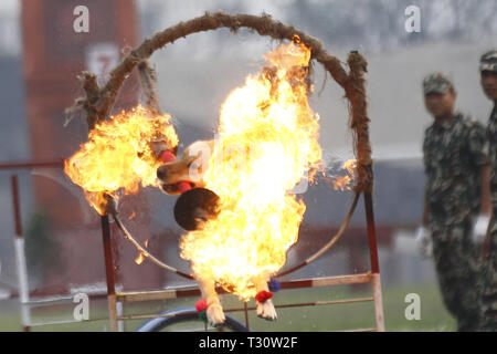 Kathmandu, Nepal. 5 Apr, 2019. Eine Armee Hund springt auf einem Feuer Ring während Ghode Jatra oder Horse Parade Festival an der Armee Pavillon in Kathmandu, Nepal am Freitag, 5. April 2019. Nach Mythen Es wird geglaubt, daß Ghode Jatra gefeiert wird als Triumph über den Dämon, der einmal ein Horror in der Stadt und durch die galoppierende Pferde der Dämon Geist bleibt unter der Erde war. Credit: Skanda Gautam/ZUMA Draht/Alamy leben Nachrichten Stockfoto