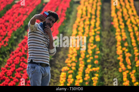 April 3, 2019 - für Kinder und Erwachsene Spaziergang durch den bunten und duftenden Blumenbeeten der Tulpen in der Indira Gandhi Memorial Tulip Garden in Srinagar, die in der Indischen verwalteten Kaschmir, am 3. April 2019. Der Garten, der an den Ausläufern des Zabarwan Bereich befindet, ist auf einem abschüssigen Gelände von sieben Terrassen erbaut und verteilt auf einer Fläche von etwa 30 Hektar, mit Blick auf den beeindruckenden Dal Lake. Es ist Asiens größte tulip Garten betrachtet, und ist die Heimat von 46 Sorten Tulpen, die den großen Bereich des Raumes, sondern auch auf andere Arten von Blumen. Der Garten wurde in 2 Stockfoto