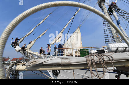 Greifswald Wieck, Deutschland. 06 Apr, 2019. Segler Aufstieg im Hafen von Wieck bei Greifswald in die Takelage des Schooner brig "Greif". Nach der Winterpause die "Klar Schiff" gemacht wird und der Sail Training Ship ist wieder in Ordnung gebracht. Die 40 Meter lange 2-Mast Bark, 1951 gebaut als das DDR-Segeln Schulschiff "Wilhelm Pieck", wird am 18.04.2019 für die erste mehrtägige Reise nach Bornholm. In diesem Jahr, Touren zu verschiedenen Häfen an der Ostsee in Dänemark, Schweden, Polen und Estland sind geplant. Quelle: Stefan Sauer/dpa/Alamy leben Nachrichten Stockfoto