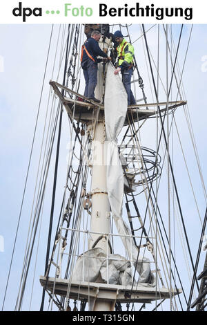 Greifswald Wieck, Deutschland. 06 Apr, 2019. Segler Aufstieg im Hafen von Wieck bei Greifswald in die Takelage des Schooner brig "Greif". Nach der Winterpause die "Klar Schiff" gemacht wird und der Sail Training Ship ist wieder in Ordnung gebracht. Die 40 Meter lange 2-Mast Bark, 1951 gebaut als das DDR-Segeln Schulschiff "Wilhelm Pieck", wird am 18.04.2019 für die erste mehrtägige Reise nach Bornholm. In diesem Jahr, Touren zu verschiedenen Häfen an der Ostsee in Dänemark, Schweden, Polen und Estland sind geplant. Quelle: Stefan Sauer/dpa/Alamy leben Nachrichten Stockfoto