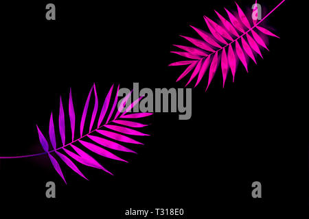 Tropische und Palmblättern in lebendigen bold Gradient holographische Neon Farben Stockfoto