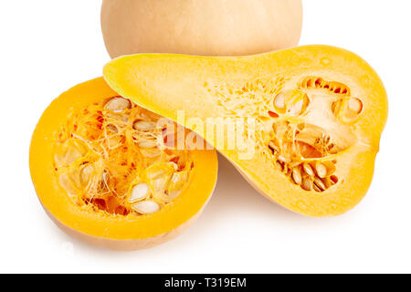Frische Butternut Squash auf einem weißen Hintergrund. Cucurbita moschata Stockfoto