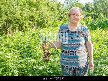 Gärtner stehende Frau mit einem Bündel grüne Zwiebeln. Frau Bauer ihre Ernte, die auf der Kamera Stockfoto