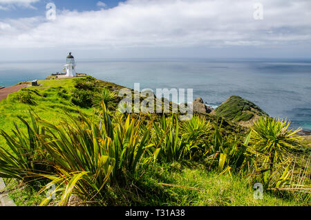 Küste von Cape Reinga mit blauem Himmel und weißen Wolken über, Northland, Neuseeland. Stockfoto