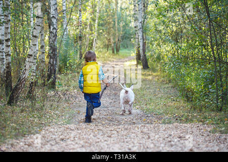 Ein Junge und ein weißes English Bull Terrier sind zu Fuß auf einem Pfad in den Wald Stockfoto