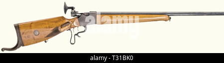 Die langen Arme, moderne Systeme, Sport Gewehr, ohne Hersteller, Kaliber 22 lr, Nummer 780, Editorial-Use - Nur Stockfoto