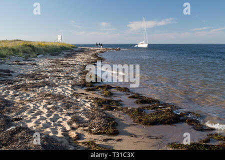 Coast Guard Beach ist ein Kanal oder Einlass im nördlichen Block Island, die Boote zu kommen und zu gehen. Es ist ein ruhiger Strand zum Angeln und Gäste bekannt. Stockfoto