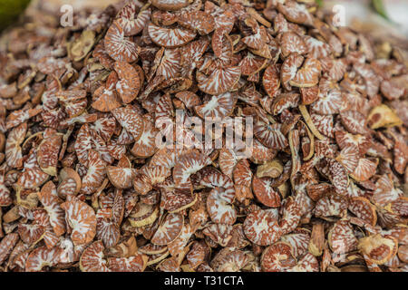 Februar 2019. Die Stadt Phuket Thailand. Getrocknete Pilze zum Verkauf an der rund um die Uhr geöffneten lokalen Obstmarkt in der alten Stadt Phuket Stockfoto