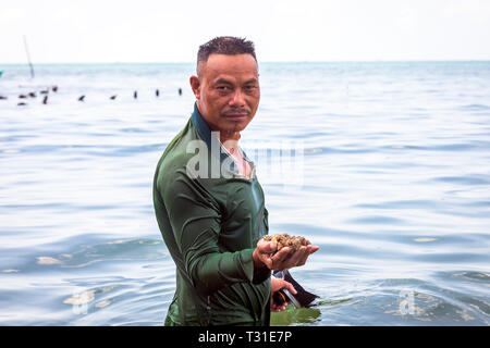 Lokale vietnamesische Fischer Tauchen für Meeresfrüchte und Wellhornschnecken off Bai Dai Tay Strand auf der Insel Phu Quoc im Golf von Thailand, Vietnam, Asien Stockfoto