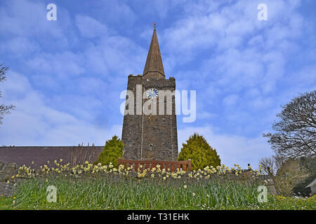 St Marys Kirche Tenby, Wales Stockfoto