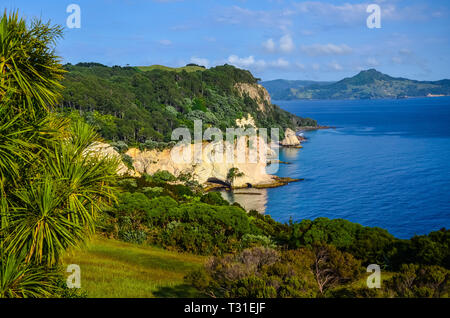 Sonnenaufgang an der Cathedral Cove Küste mit blauer Himmel über. Stockfoto