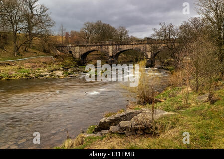 Von Bolton Abbey ein angenehmer Spaziergang am Fluss führt durch Wälder auf der Strid, ein berüchtigter Ausdehnung des Wassers, wo die River Wharfe gezwungen, i Stockfoto