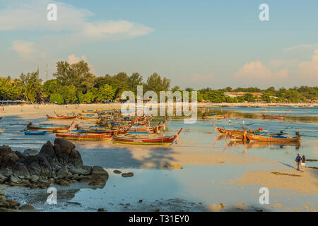 Februar 2019. Ko Lipe Thailand. Ein Blick auf die Korallen am Strand von Ko Lipe in Ko Tarutao Nationalpark ausgesetzt in Thailand Stockfoto