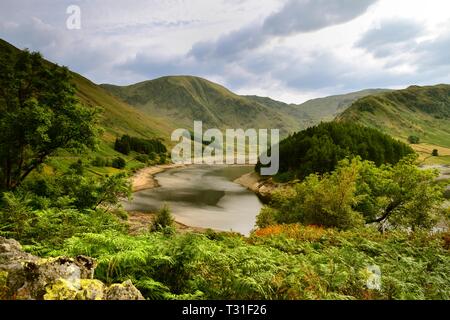 Am späten Nachmittag Sonne auf die Vegetation von Haweswater Stockfoto