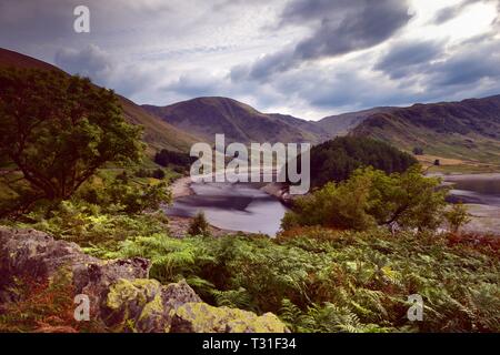 Am späten Nachmittag Sonne auf die Vegetation von Haweswater Stockfoto