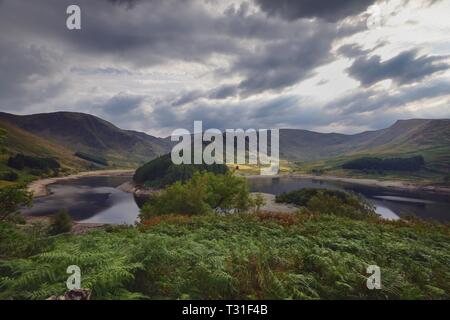 Am späten Nachmittag Sonne auf die Vegetation von Haweswater Stockfoto