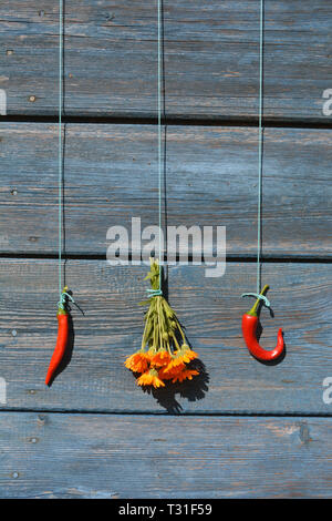 Zwei red hot chili peppers und Ringelblume calendula Bündel auf alten hölzernen Scheune Wand Stockfoto