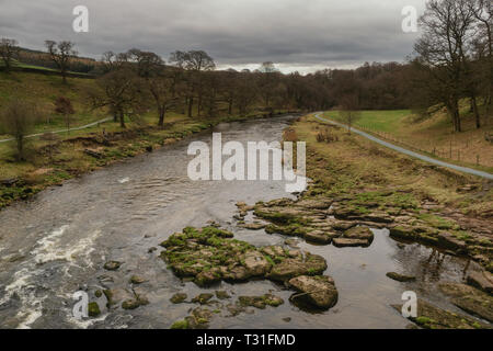 Von Bolton Abbey ein angenehmer Spaziergang am Fluss führt durch Wälder auf der Strid, ein berüchtigter Ausdehnung des Wassers, wo die River Wharfe gezwungen, i Stockfoto