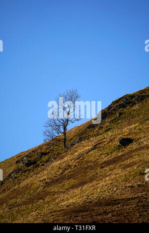 Glen Finglas Immobilien eine atemberaubende wandern Ort in Schottland Stockfoto