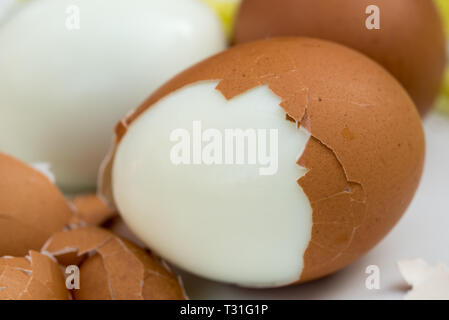 Gekochte Eier auf Platte mit zerbrochene Eierschale Makro Stockfoto