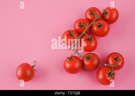 Rote Tomaten isoliert in rosa Hintergrund, Ansicht von oben Stockfoto