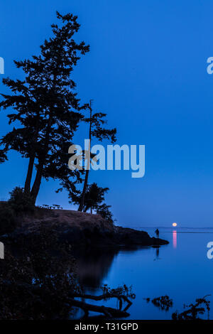 Eine einsame Gestalt, stehend auf einem Punkt des Landes beobachten den Vollmond über dem Wasser und Vancouver Island. Haro Strait, San Juan Island, Washington, USA Stockfoto