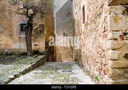 Gasse in der Altstadt von Caceres. Extremadura Spanien Stockfoto