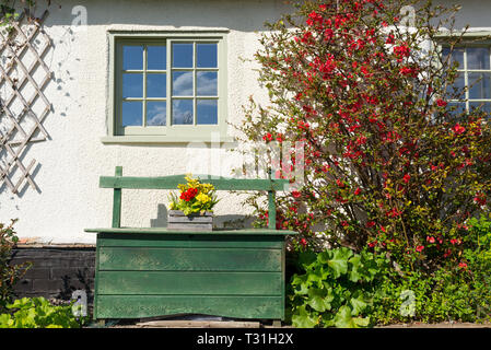 Vintage grün Holz Garten Bank mit kleinen Blumentopf unten Fenster der traditionellen britischen Country House. Kleine dekorative Baum mit roten Stockfoto