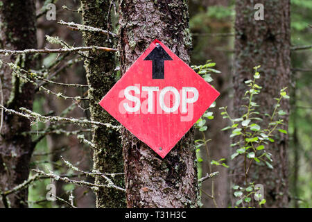 Stop-Schild auf einem ATV Trail in Duck Mountain Provincial Park Stockfoto