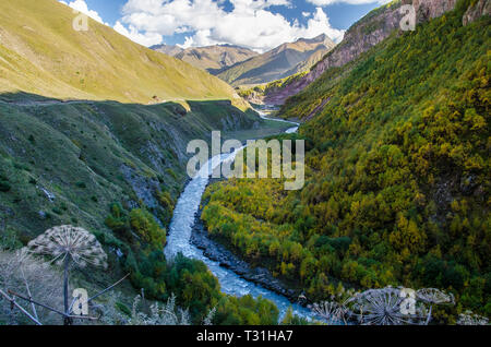 Bunte Truso Tal Blick auf die Schlucht vier Fluss, Wald und Berge hinter in Kazbegi Bergkette in der Nähe von Stepantsminda in Georgien. Stockfoto
