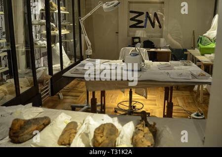 Turin, Piemont, Italien. März 2019. Im Ägyptischen Museum, ein Labor für die Behandlung von alten findet. Perfekt gepflegt und sauber. Stockfoto