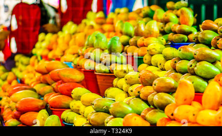 Blick auf Reife Mangos für Verkauf in einem mexikanischen Bauern markt Stockfoto