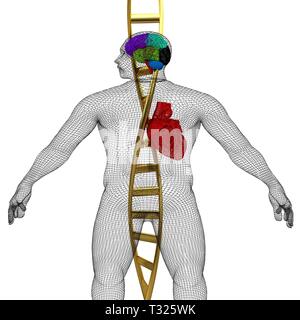 3D-medizinischen Hintergrund mit DNA-Stränge und den menschlichen Körper Modell mit Herz und Hirn in x-ray. 3D-Rendering Stockfoto