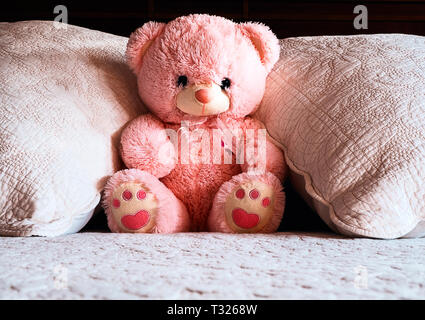 Rosa Teddybär auf dem Bett Stockfoto