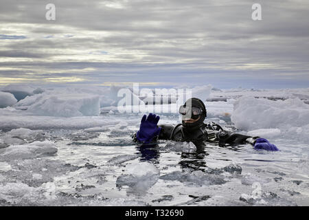 Tauchen im Arktischen Meer, Spitzbergen, Arktis, Norwegen Stockfoto