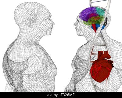 3D-medizinischen Hintergrund mit DNA-Stränge und den menschlichen Körper Modell mit Herz und Hirn in x-ray. 3D-Rendering Stockfoto
