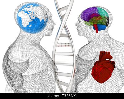 3D-medizinischen Hintergrund mit DNA-Stränge und den menschlichen Körper Modell mit Herz und Hirn in x-ray. Globale medizinische Konzept mit der Erde. 3D-Rendering Stockfoto