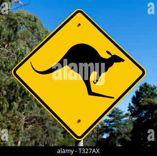 Vorsicht vor Kängurus Schild in den Grampians, Victoria, Australien Stockfoto