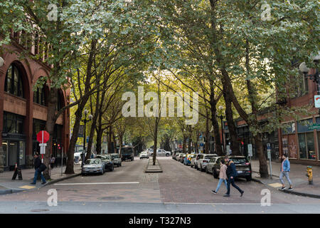 Bewaldeten Straße in der Innenstadt von Seattle, Washington, USA. Stockfoto