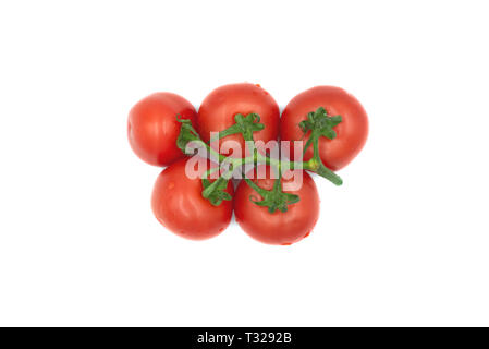 Fünf gewaschene rote reife Tomaten in einem Bündel mit weißem Hintergrund. Stockfoto